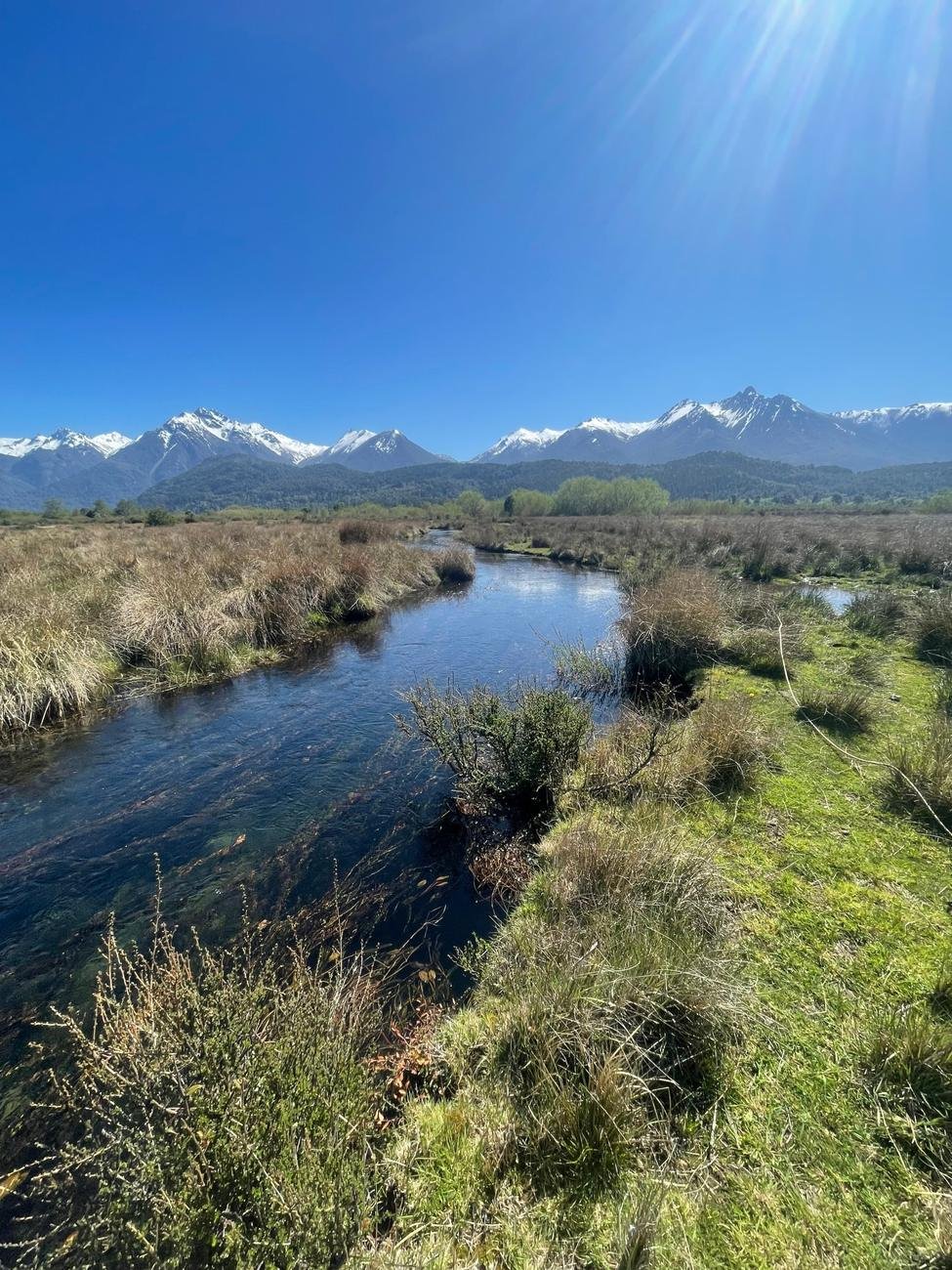 A creek winding toward snowy peaks