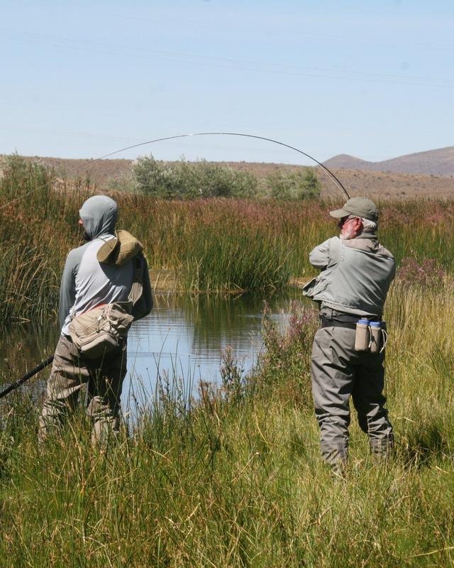 Two anglers playing a trout from a reedy riverbank